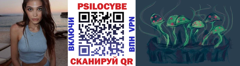 Псилоцибиновые грибы Cubensis  Суздаль 