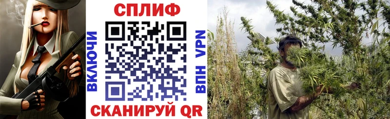 Конопля ГИДРОПОН  hydra tor  Суздаль  купить  